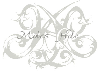 Moles Hole